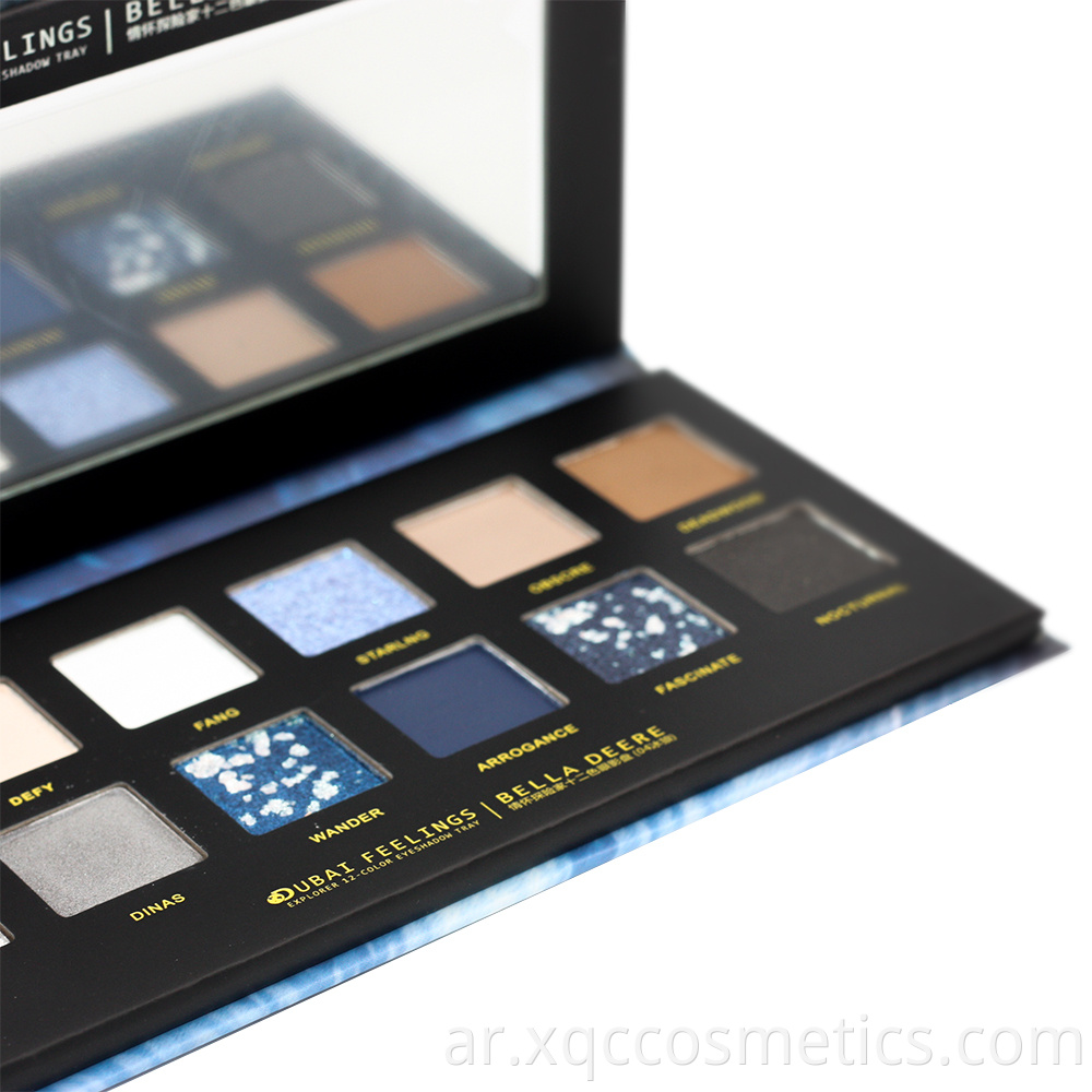 Eye Shadow 10 Clolor 1000 3